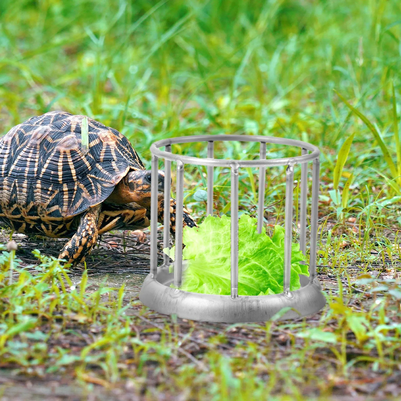 Stainless Steel Reptile Feeding Dish Tortoise Food Holder Reptile Water Bowl Terrarium Food Container Tortoise Feeding Dish
