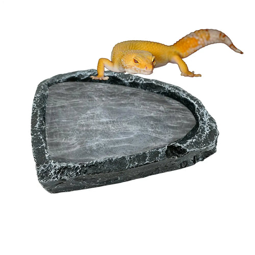Pet Reptile Bowl Leopard Gecko Water Dish Bearded Dragon Feeder For Keepers Breeders Pet Parents Animal  Enclosure Terrarium