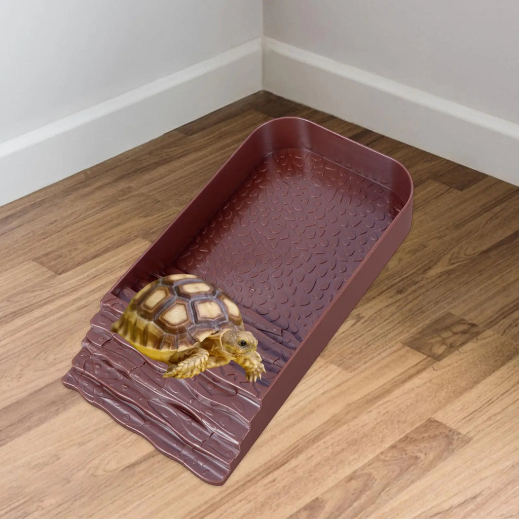 Terrarium Bowl Turtle Bath Turtle Food Bowl for Scorpion Gecko Leopard