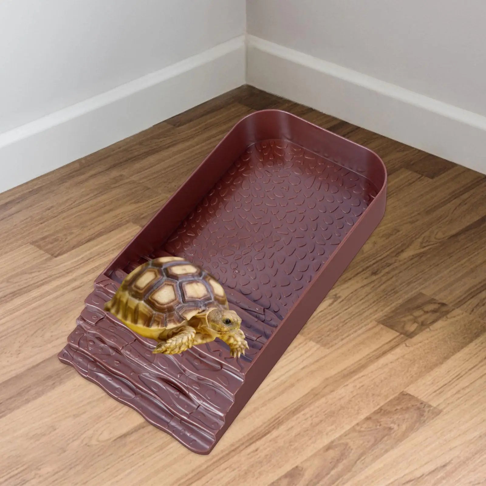 Terrarium Bowl Turtle Bath Turtle Food Bowl for Scorpion Gecko Leopard