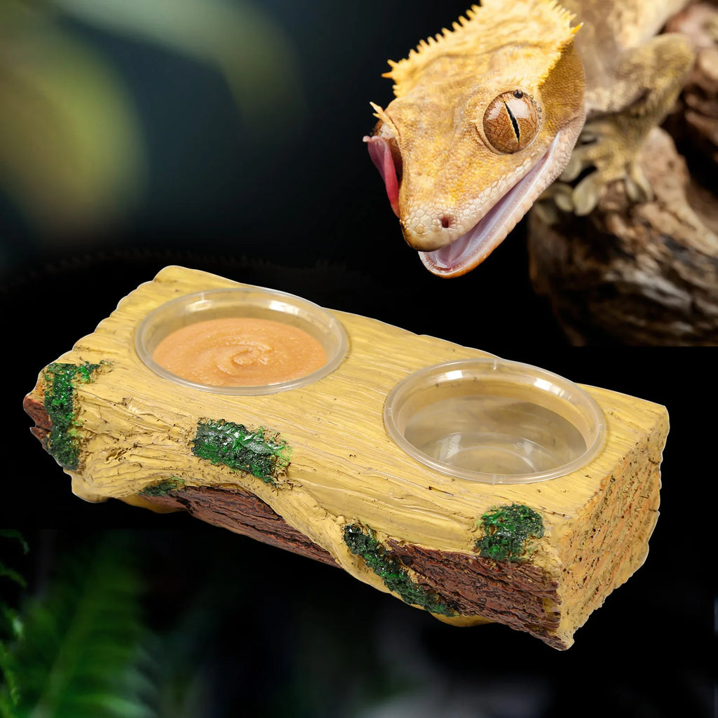 Feeding bowl for reptiles and arboreal animals, can be hung or placed with suction cups, suitable for lizards, geckos, and snake