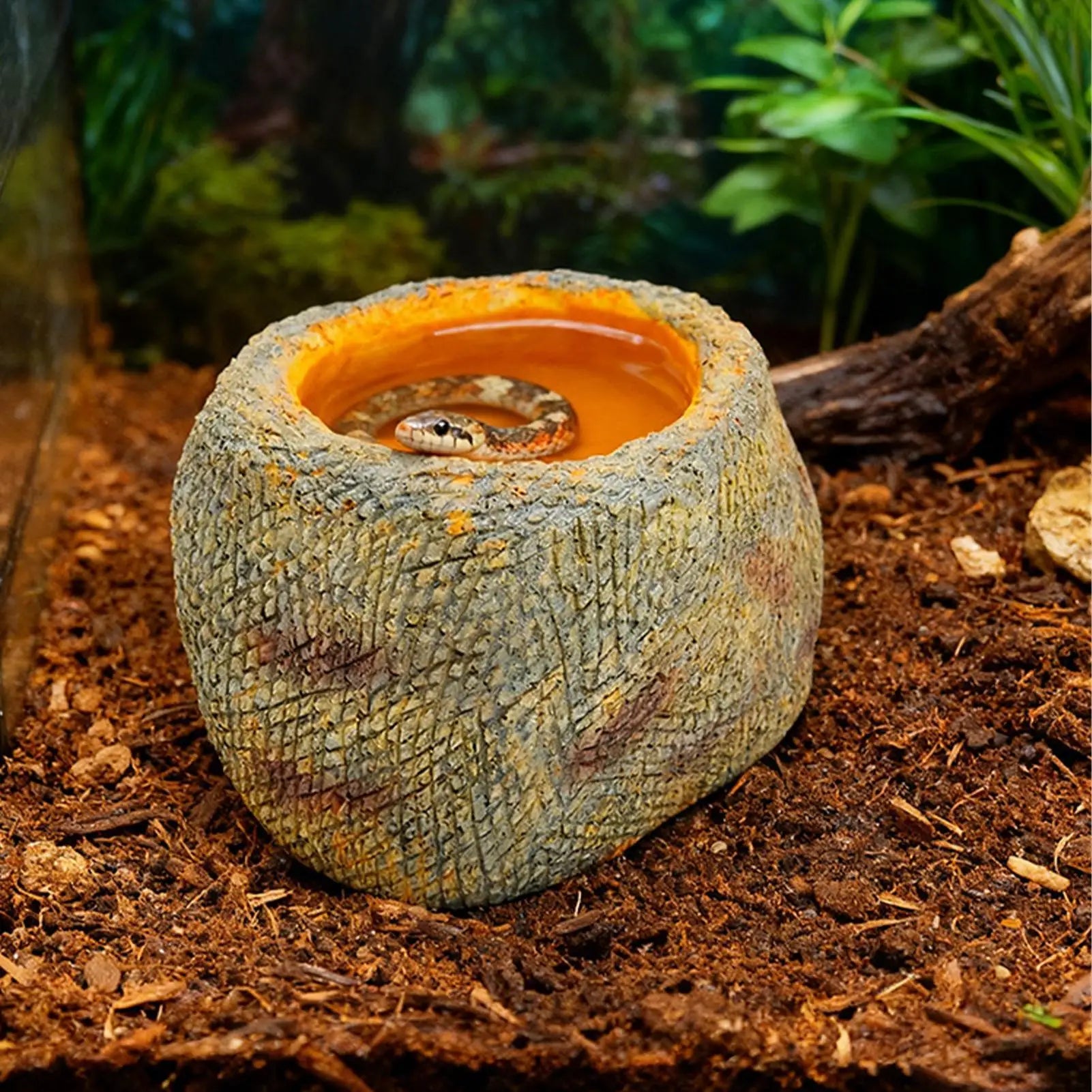 Snake Water Bowl Feeding Resin Realistic Stone Pet Supplies Snake Water Dish Terrarium Bowls For Pet Bearded Dragon Gecko Spider