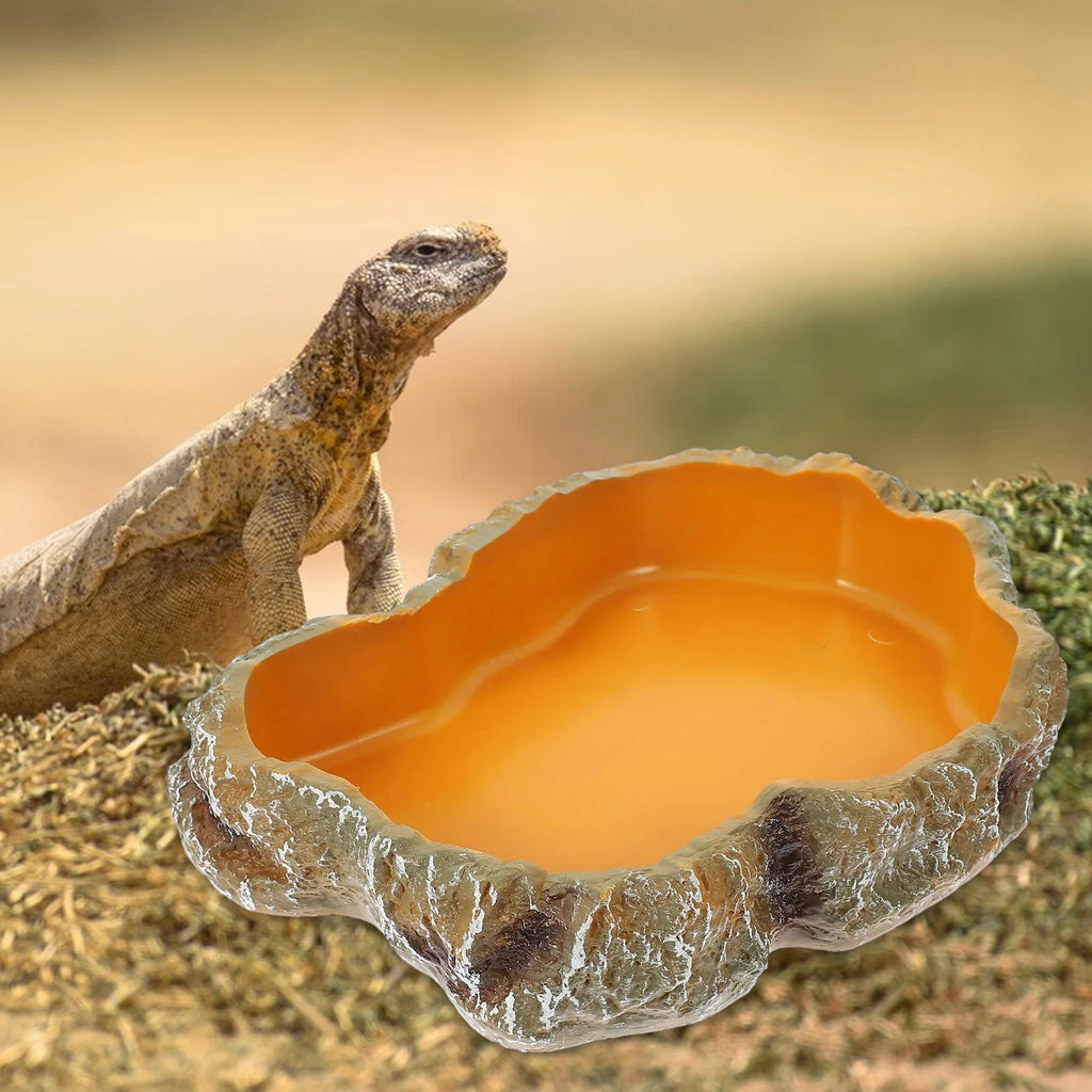 Reptile Water Bowls Terrarium Plate Reptile Feeder Amphibian Feeding Bowl for Frog Chameleon Tortoise Bearded Dragon Turtle
