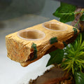 Feeding bowl for reptiles and arboreal animals, can be hung or placed with suction cups, suitable for lizards, geckos, and snake