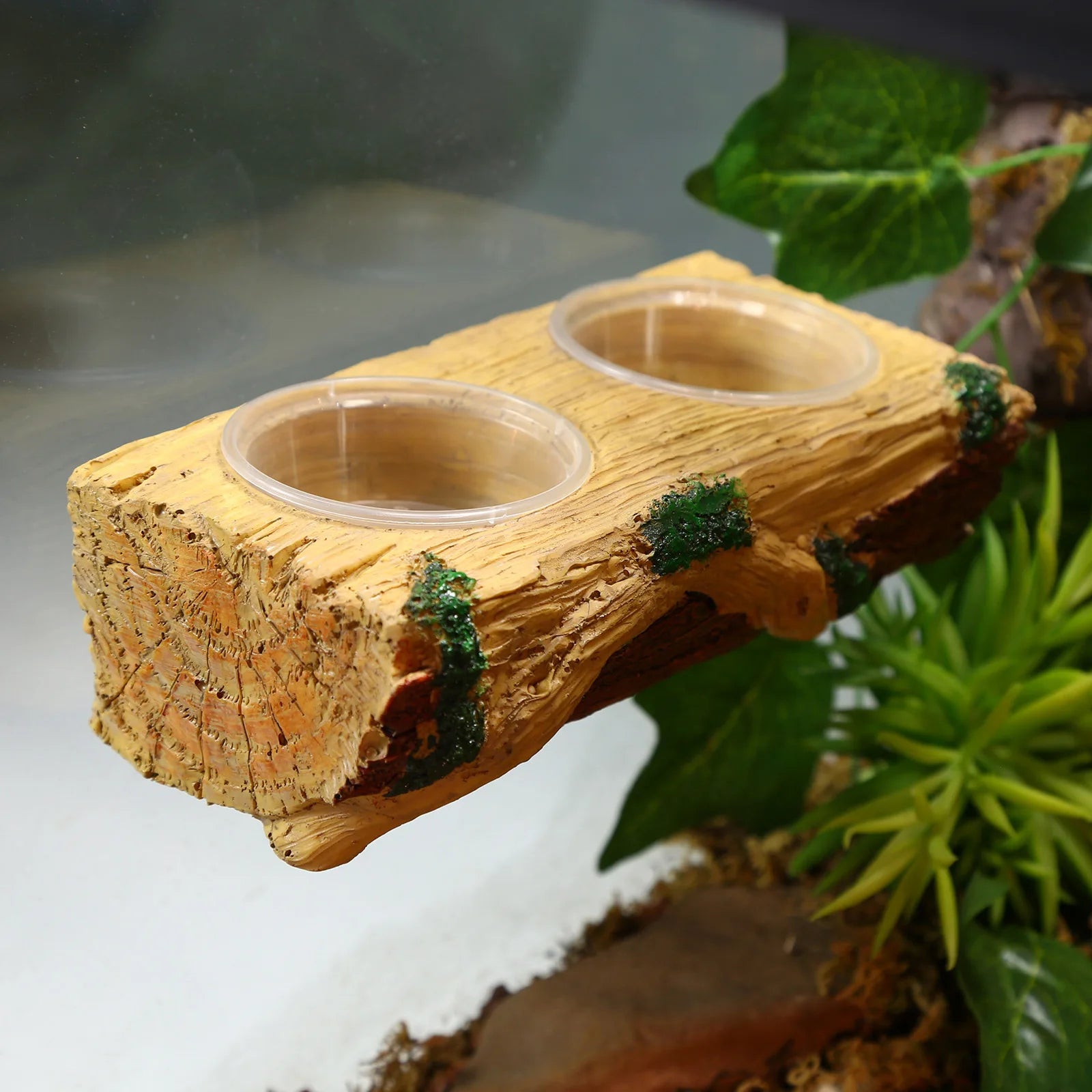 Feeding bowl for reptiles and arboreal animals, can be hung or placed with suction cups, suitable for lizards, geckos, and snake