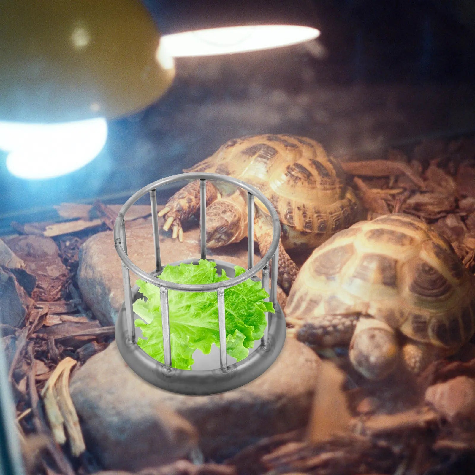 Stainless Steel Reptile Feeding Dish Tortoise Food Holder Reptile Water Bowl Terrarium Food Container Tortoise Feeding Dish